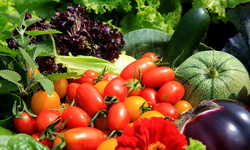 Frozen&Fresh vegetables